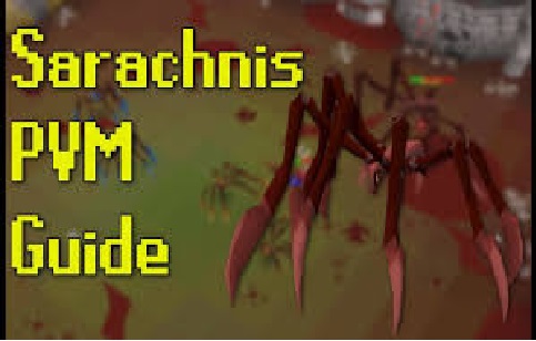 Sarachnis Guide