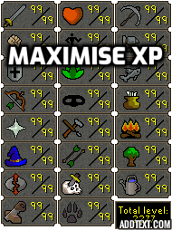 Maximise your EXP gainz!