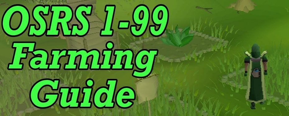 OSRS farming guide